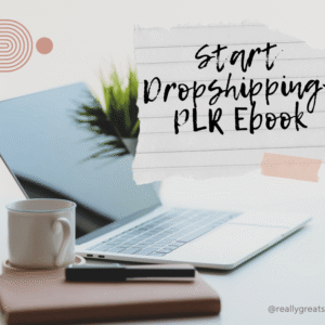 A 20-page PLR eBook that teaches how to start a dropshipping business step by step