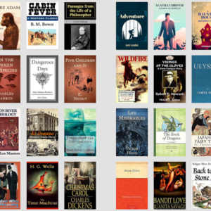 1000 timeless classic & famous novels in digital format with PLR